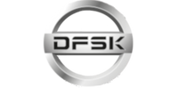 Dfsk
