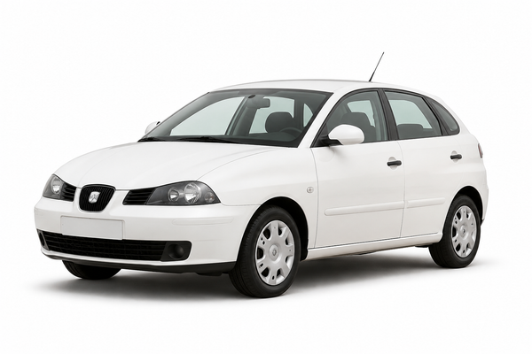 Seat Ibiza 6L