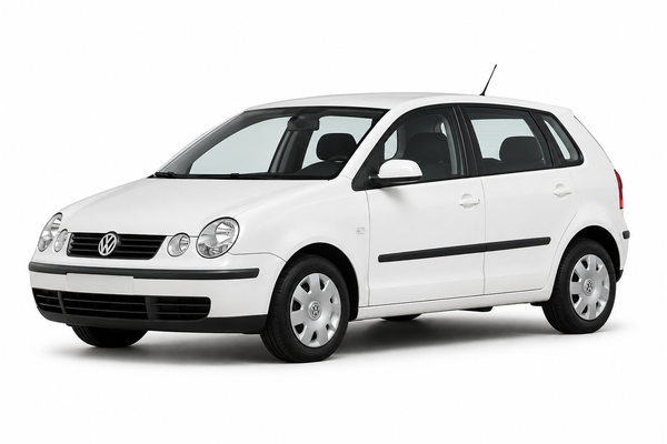 Volkswagen Polo 9N1/9N2/9N3